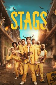 Stags Season 1